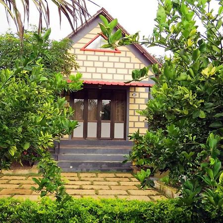 Wild Wadi Cottages Malanka Dış mekan fotoğraf
